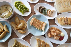 宇都宮餃子祭り